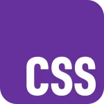 CSS Logo